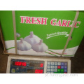 Alho branco puro 4.5cm embalagem 1 kg 10bags caixa